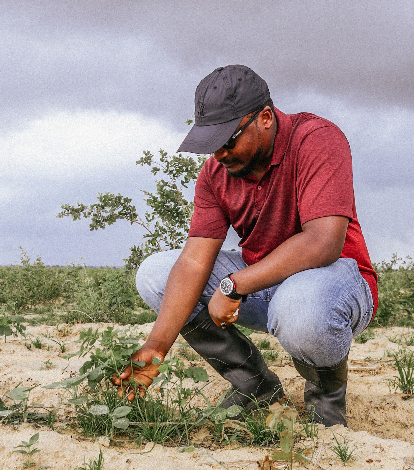 A man inspects crops in a Nigerian field, illustrating field-level impact verification for development finance